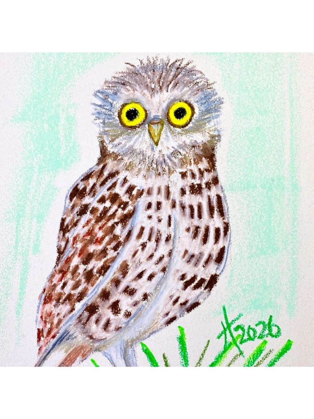 Young Florida Burrowing Owl Original Oil Pastel Painting 11x14in Matted